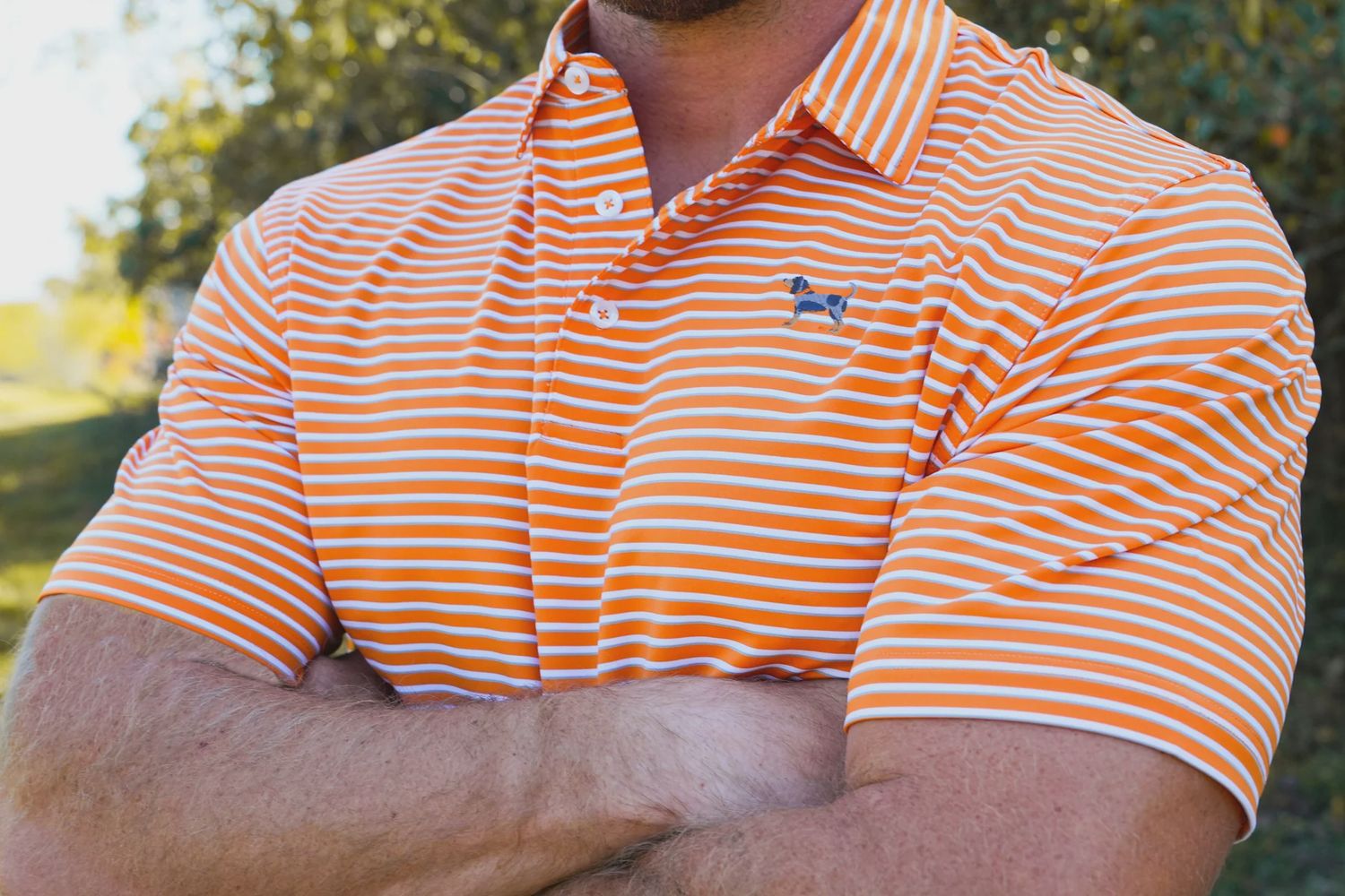 Bluetick Premier Stripe Polos