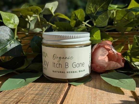 Organic Itch B Gone Salve