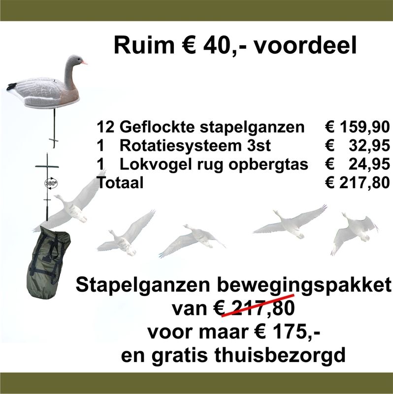 Ganzen bewegingspakket
