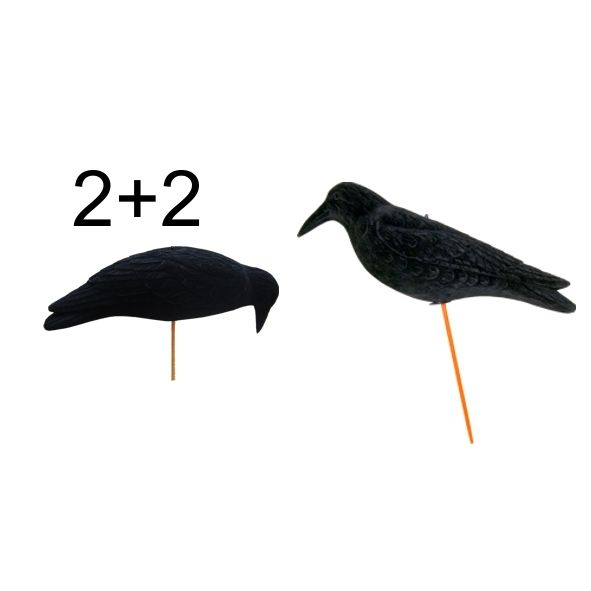 Lokvogel kraai magnum geflockt "2 Waggle + 2 feeding Waggle" 50cm