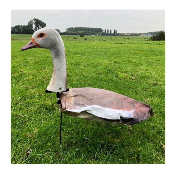 Windecoy Nijlgans met kop 10stuks -6x kop foeragerend / 4x kop hoog.