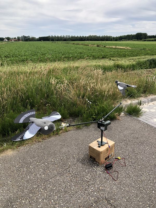 Lokvogel carrousel met snelheid regeling
