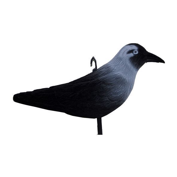 Lokvogel kauw geflockt 32cm per 36 stuks