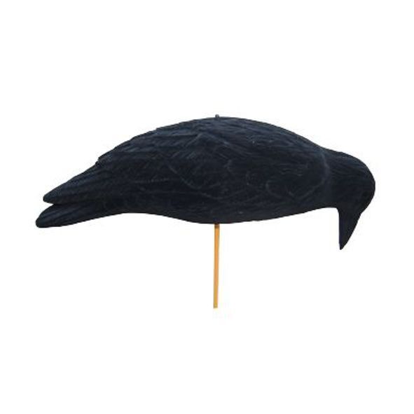 Lokvogel kraai magnum geflockt "feeding Waggle" 50cm per stuk