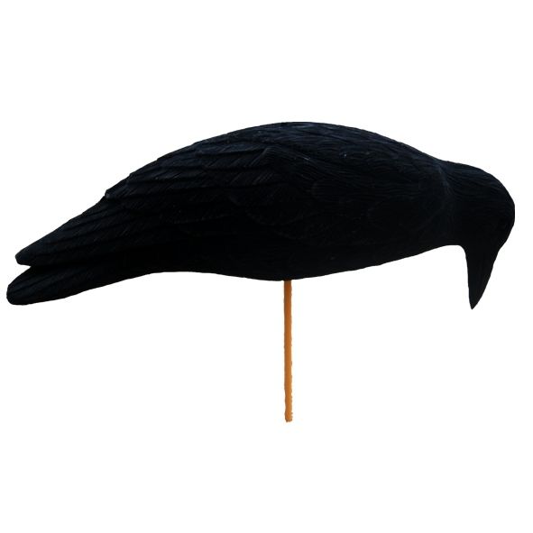 Lokvogel kraai magnum geflockt "feeding Waggle" 50cm per 12 stuks