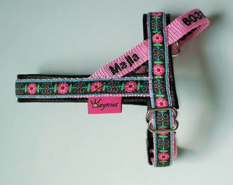 Norwegergeschirr 1,5cm mit Polsterung Norwegergeschirr 1,5cm mit Polsterung