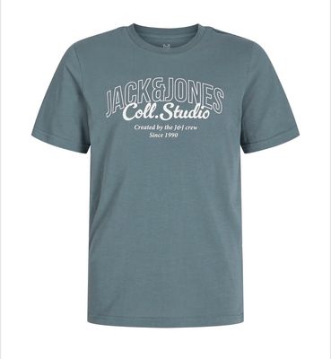 JACK &amp; JONES MINI JJMAKATO TEE
