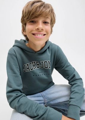 JJECALEB VARSITY SWEAT HOOD NOOS JNR