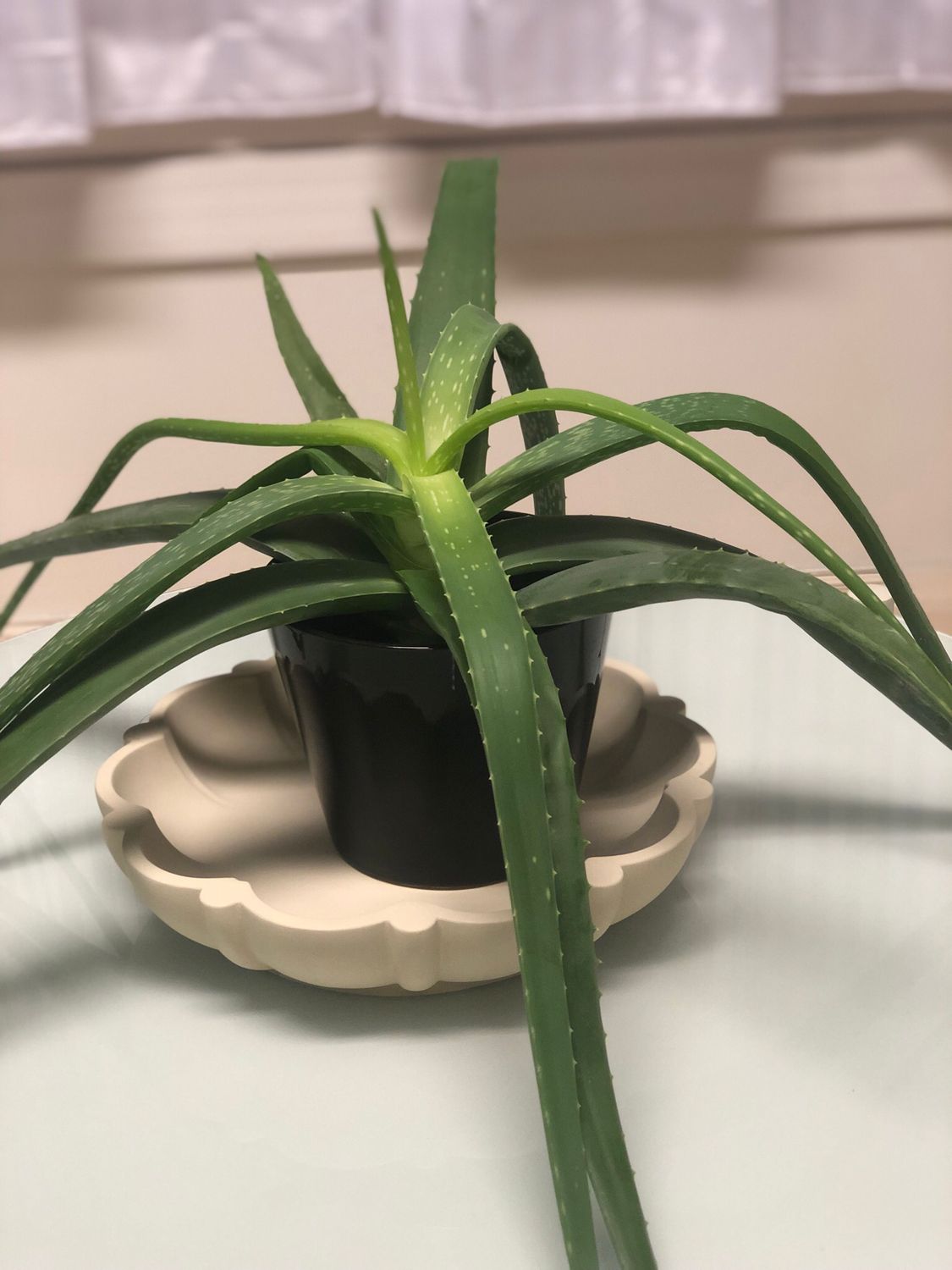 Fredags-Flow M/Anne Vikjord 13. Mars Kl 1700-1815