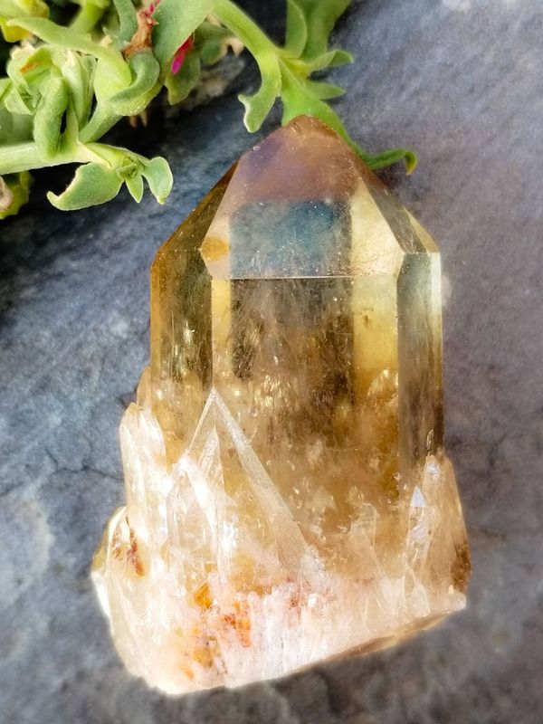 Citrino Natural Kundalini