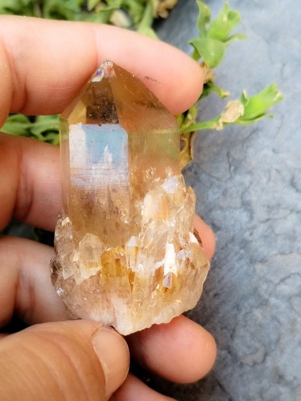 Citrino Natural Kundalini