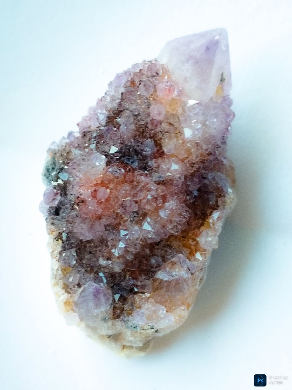 Amatista spirit