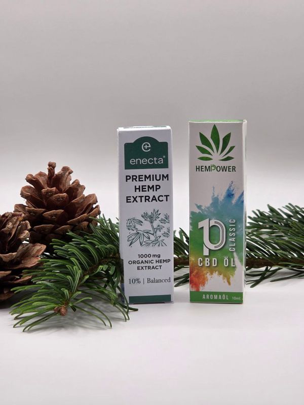 🎄 Exklusives Weihnachtsangebot – nur für kurze Zeit! 🎄