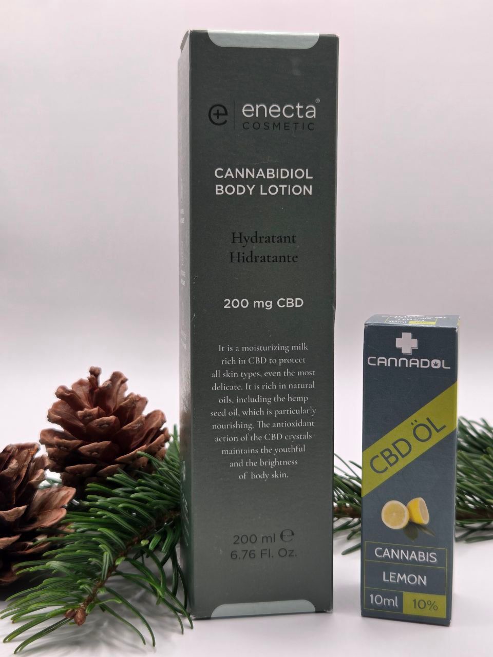 🎄 Exklusives Weihnachtsangebot – nur für kurze Zeit! 🎄