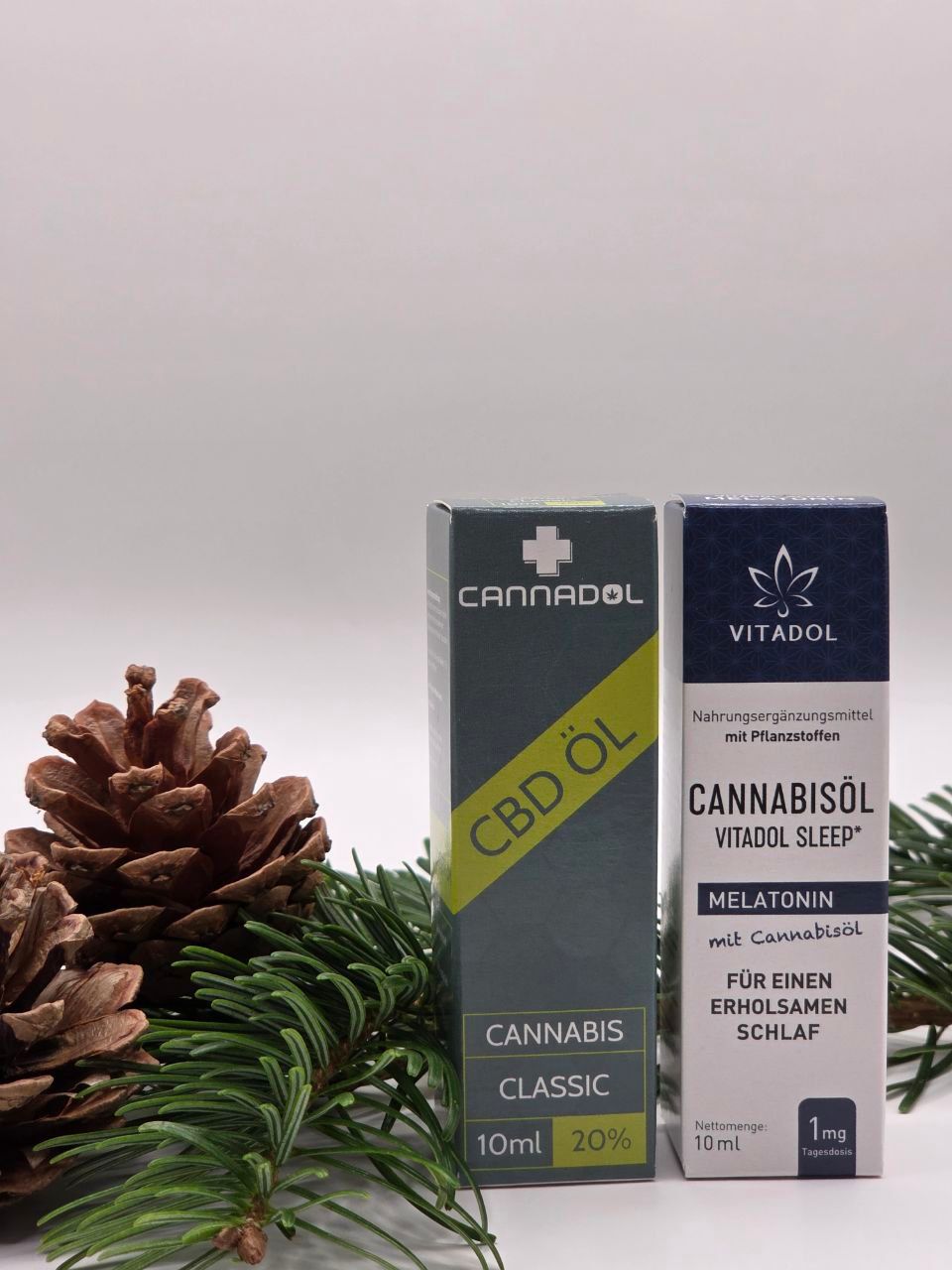 🎄 Exklusives Weihnachtsangebot – nur für kurze Zeit! 🎄