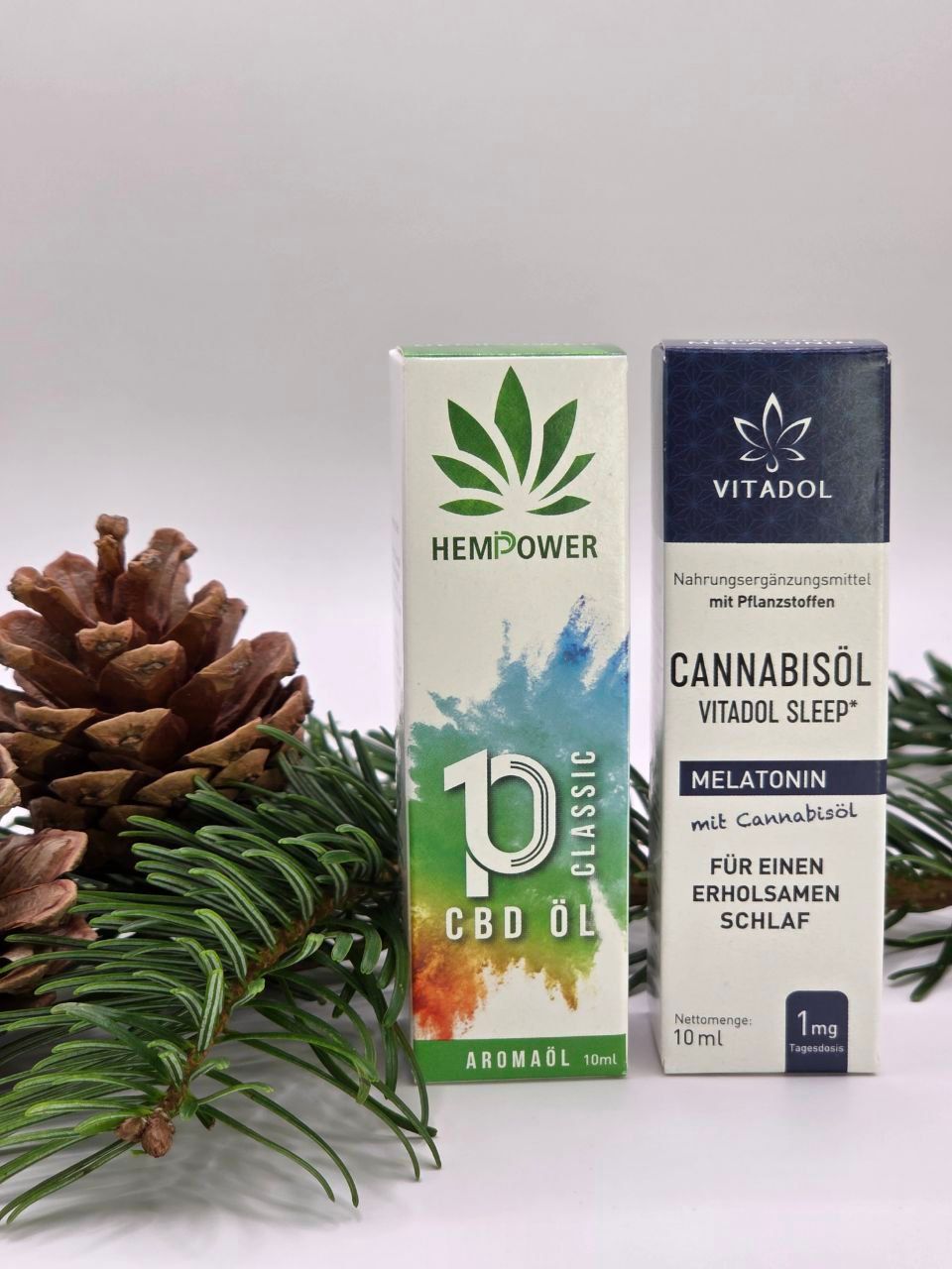 🎄 Exklusives Weihnachtsangebot – nur für kurze Zeit! 🎄