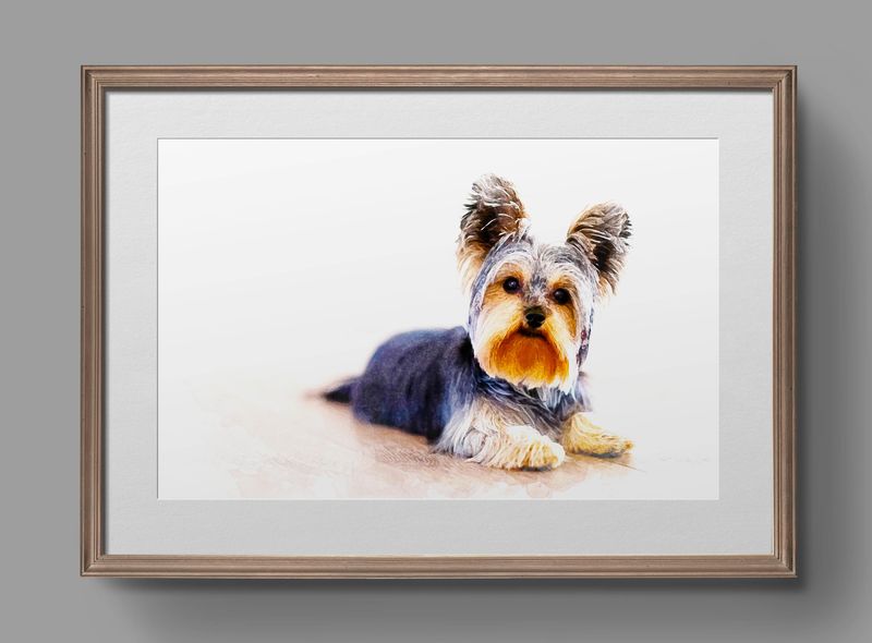 Pet Watercolour Portrait