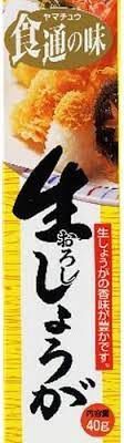 Ginger Tube 40g / 生おろししょうが