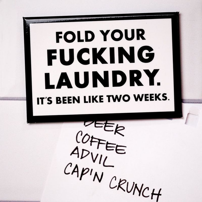 Fold Your Fucking Laundry...Magnet