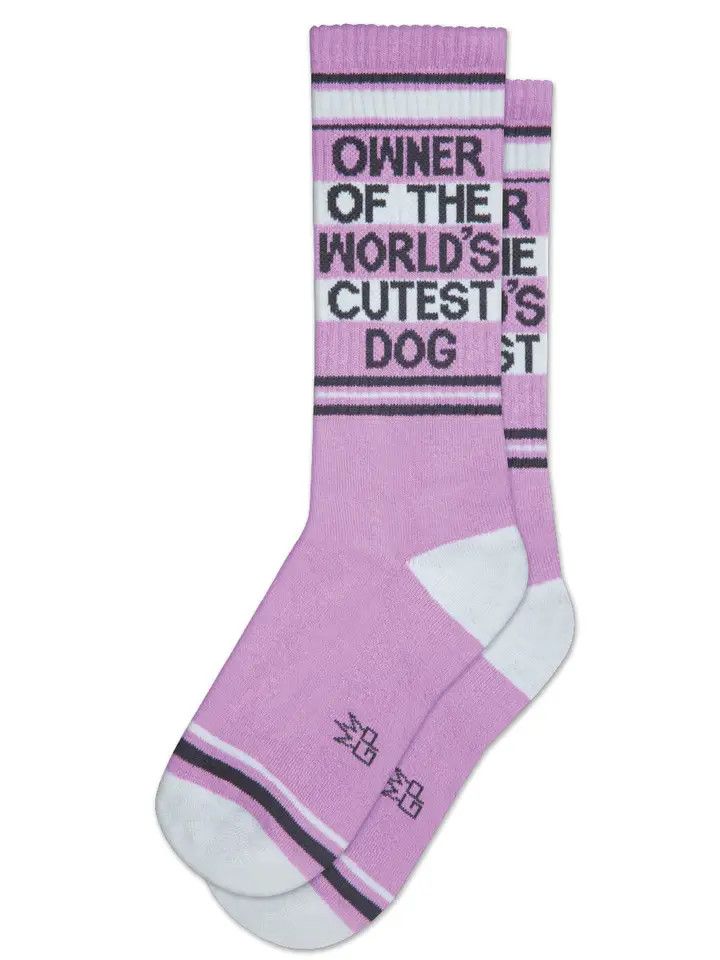 Socks - Owner of the World&#39;s Cutest Dog