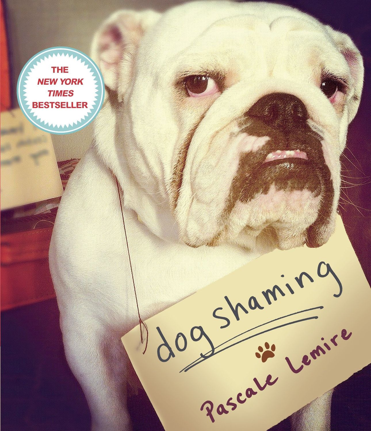 Book- Dog Shaming