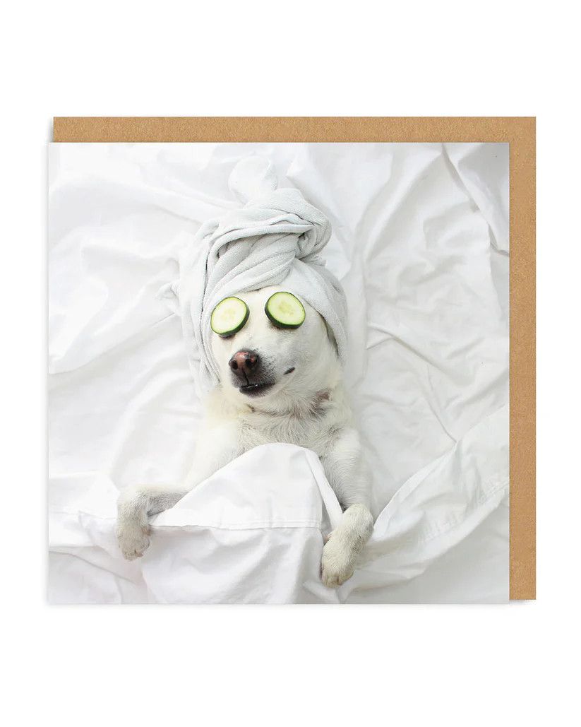 Card - Pampered Pooch
