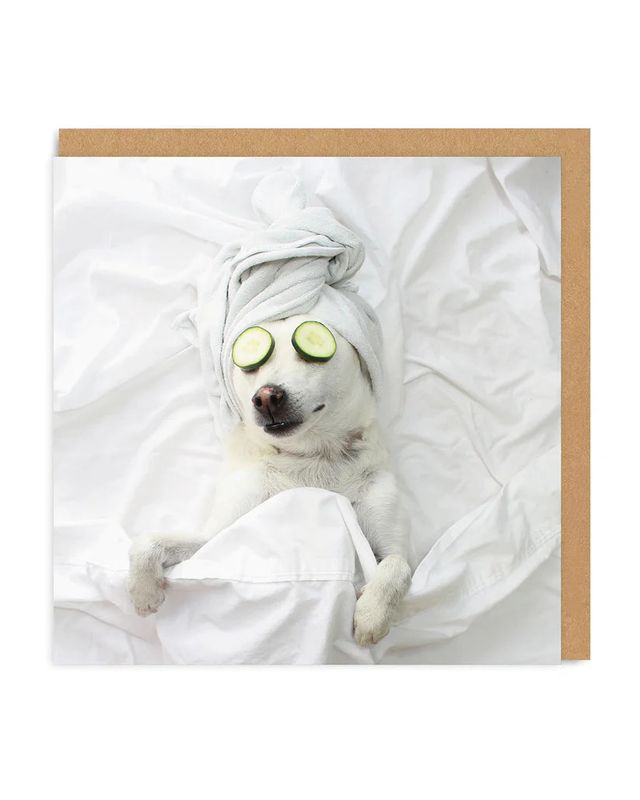 Card - Pampered Pooch
