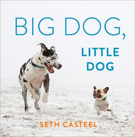 Book- Big Dog, Little Dog