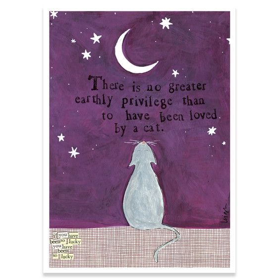 Card-Loved by a Cat