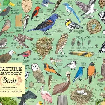 Bird Puzzle 500 pieces