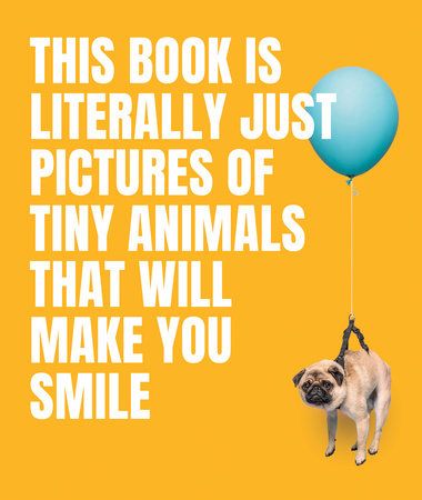 Book - Pictures of Tiny Animals That Will Make You Smile