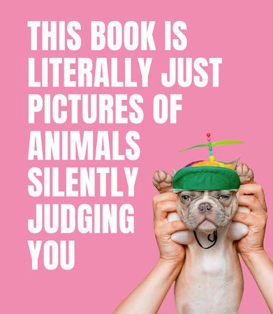 Book - Pictures of Animals Silently Judging You