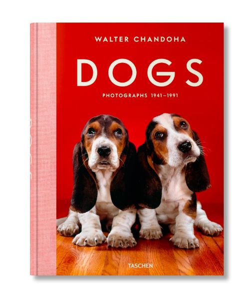 Dogs