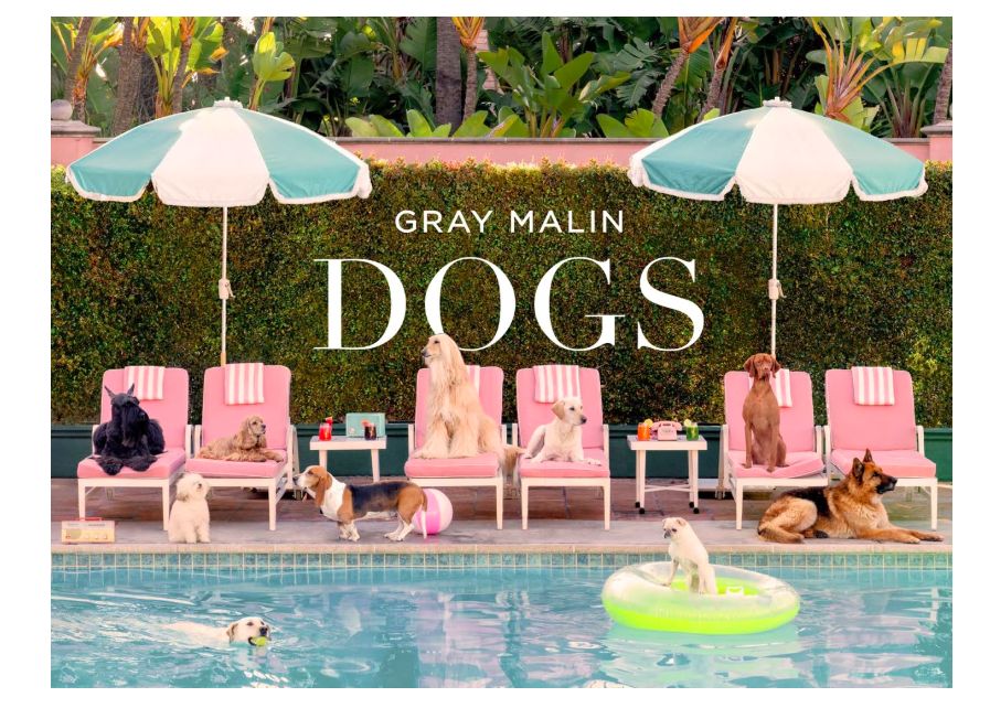 Gray Malin: Dogs: Photographs