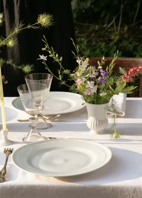 Servies