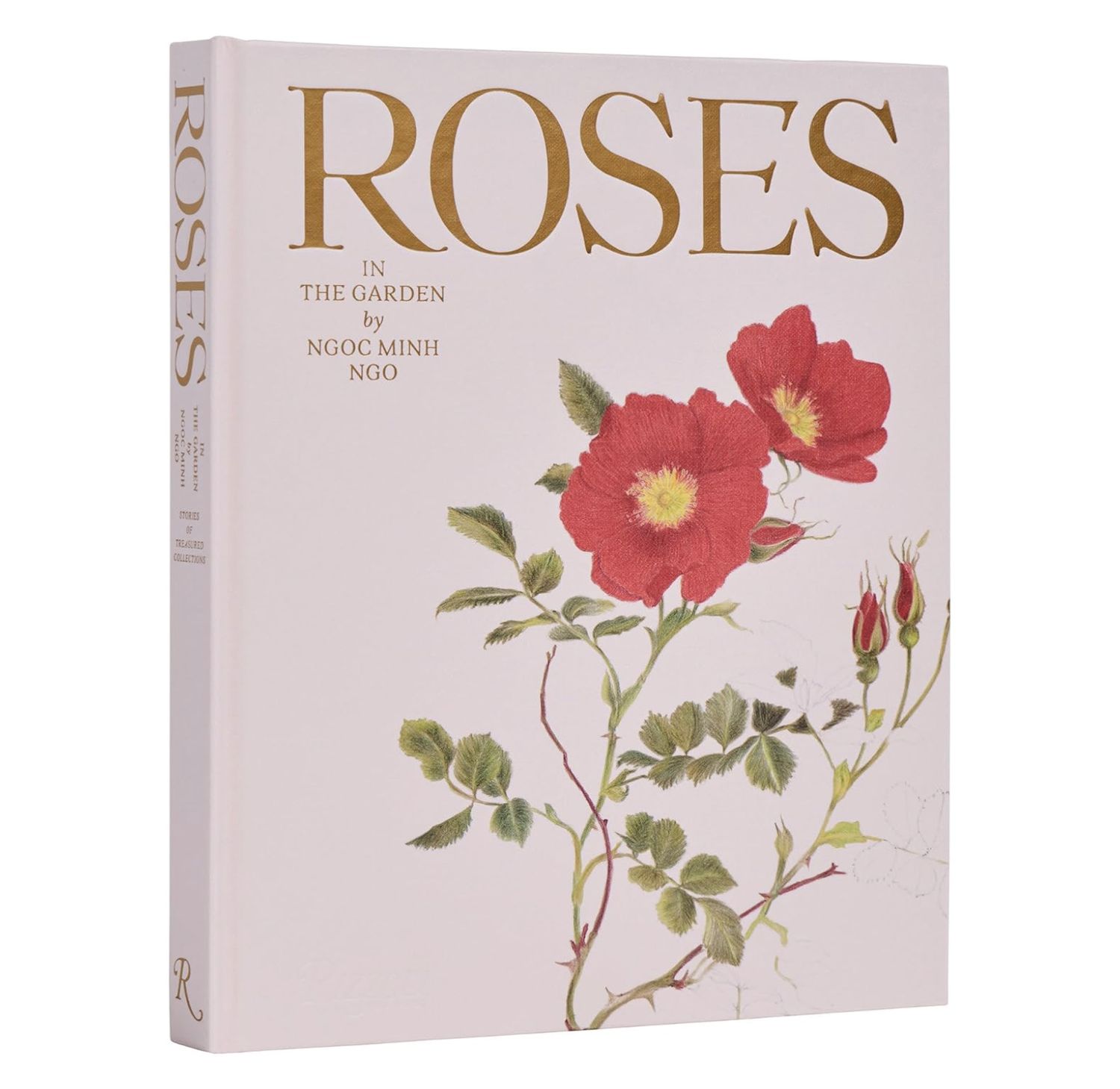 Roses in The Garden