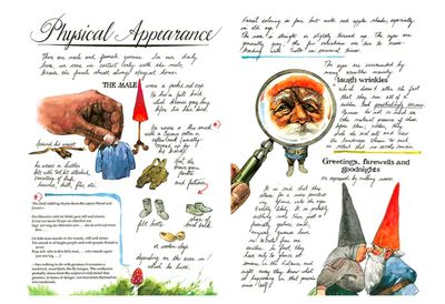 Gnomes