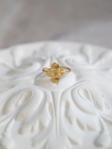 Alix D. Reynis - Vergulde Ringen, Size: Taille 53, Variant: India