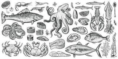 Fish And Seafood