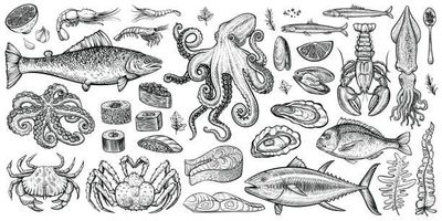 Fish And Seafood