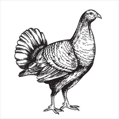 Turkey