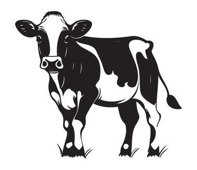 Beef