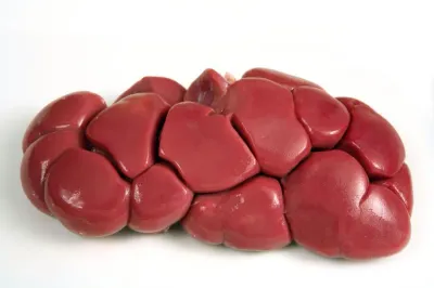 Cow Kidney per Lb