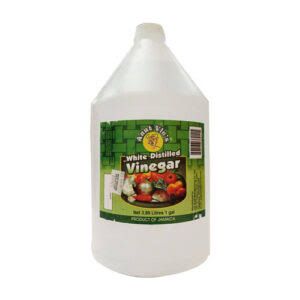 Aunt Vie Gallon Vinegar