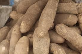 Yam Per Lb