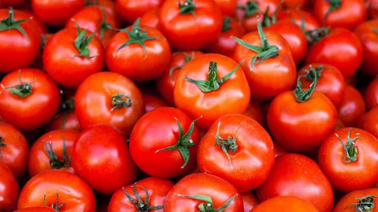Tomato per Lb