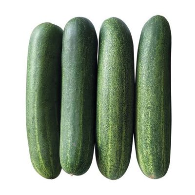 Cucumber per Lb