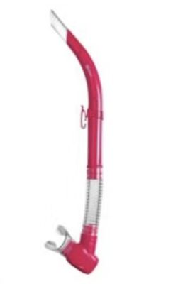 Snorkel Tropical