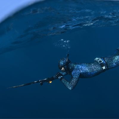 Spear Gun