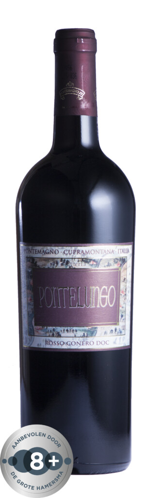 Piersanti Bordolese Pontelungo